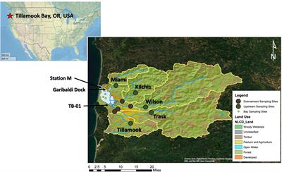 Quantifying the combined impacts of anthropogenic CO2 emissions and watershed alteration on estuary acidification at biologically-relevant time scales: a case study from Tillamook Bay, OR, USA